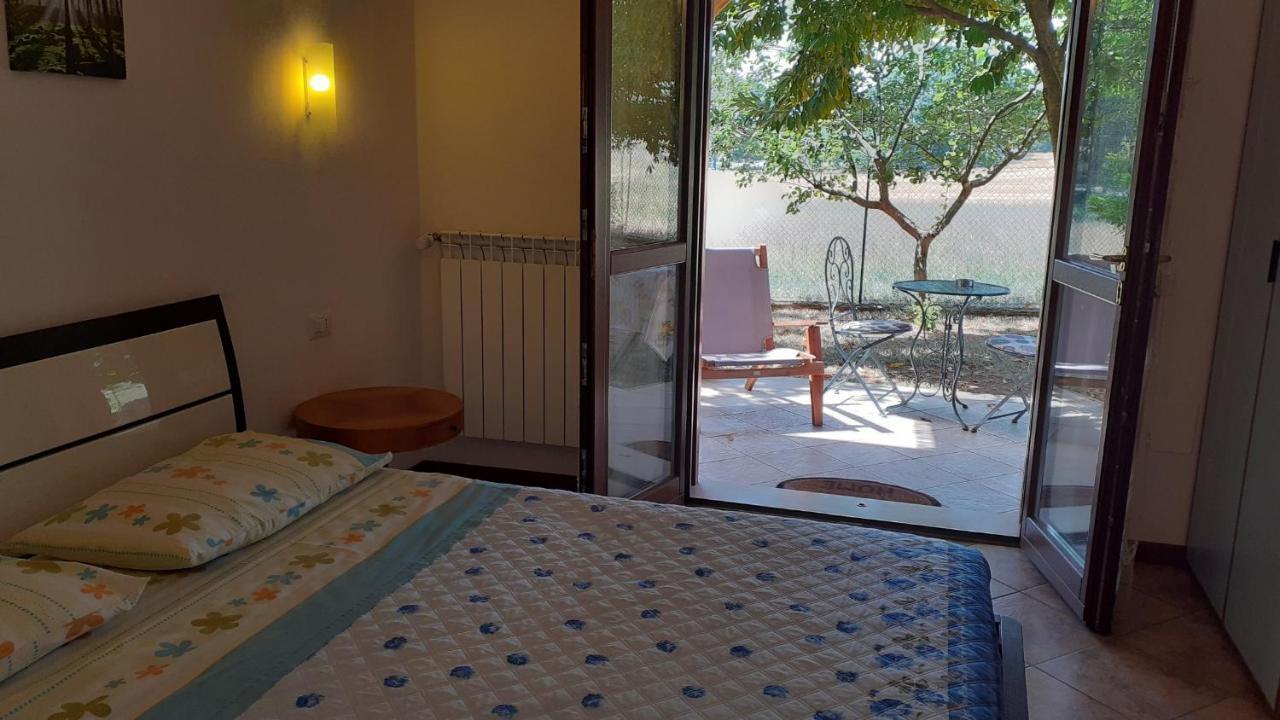 B&B Il Pizzagiallo Massa Martana Exteriér fotografie