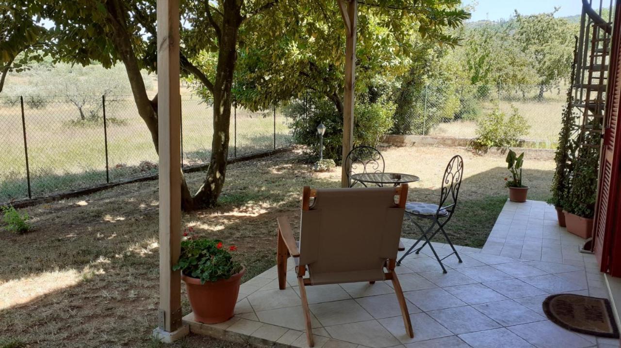 B&B Il Pizzagiallo Massa Martana Exteriér fotografie