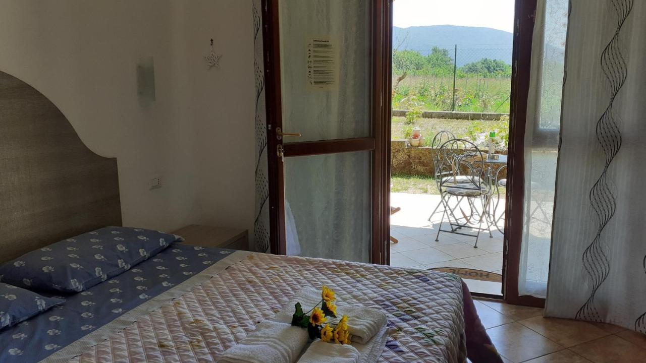 B&B Il Pizzagiallo Massa Martana Exteriér fotografie