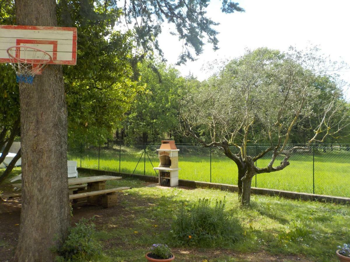B&B Il Pizzagiallo Massa Martana Exteriér fotografie