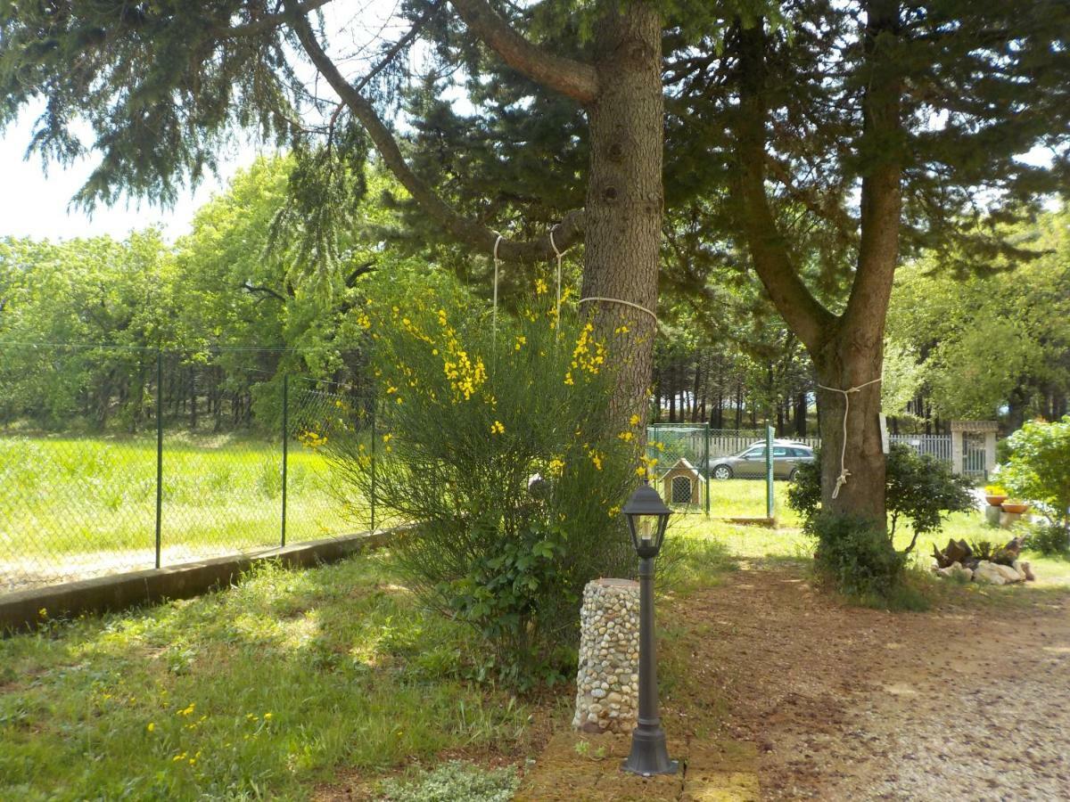 B&B Il Pizzagiallo Massa Martana Exteriér fotografie